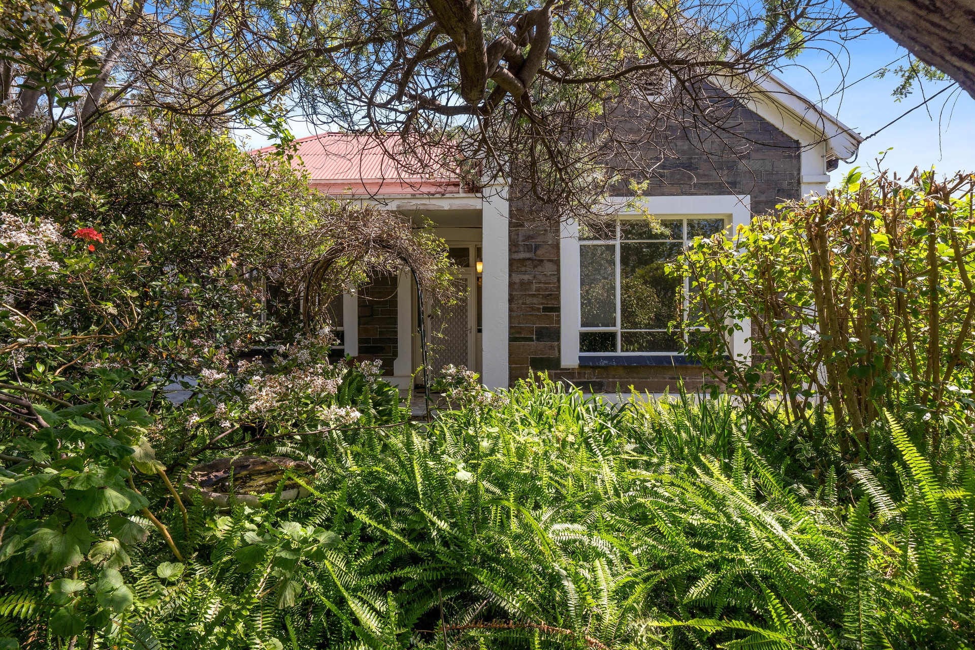 51 Queen Street, Norwood Sold by Giordano & Partners - image 2