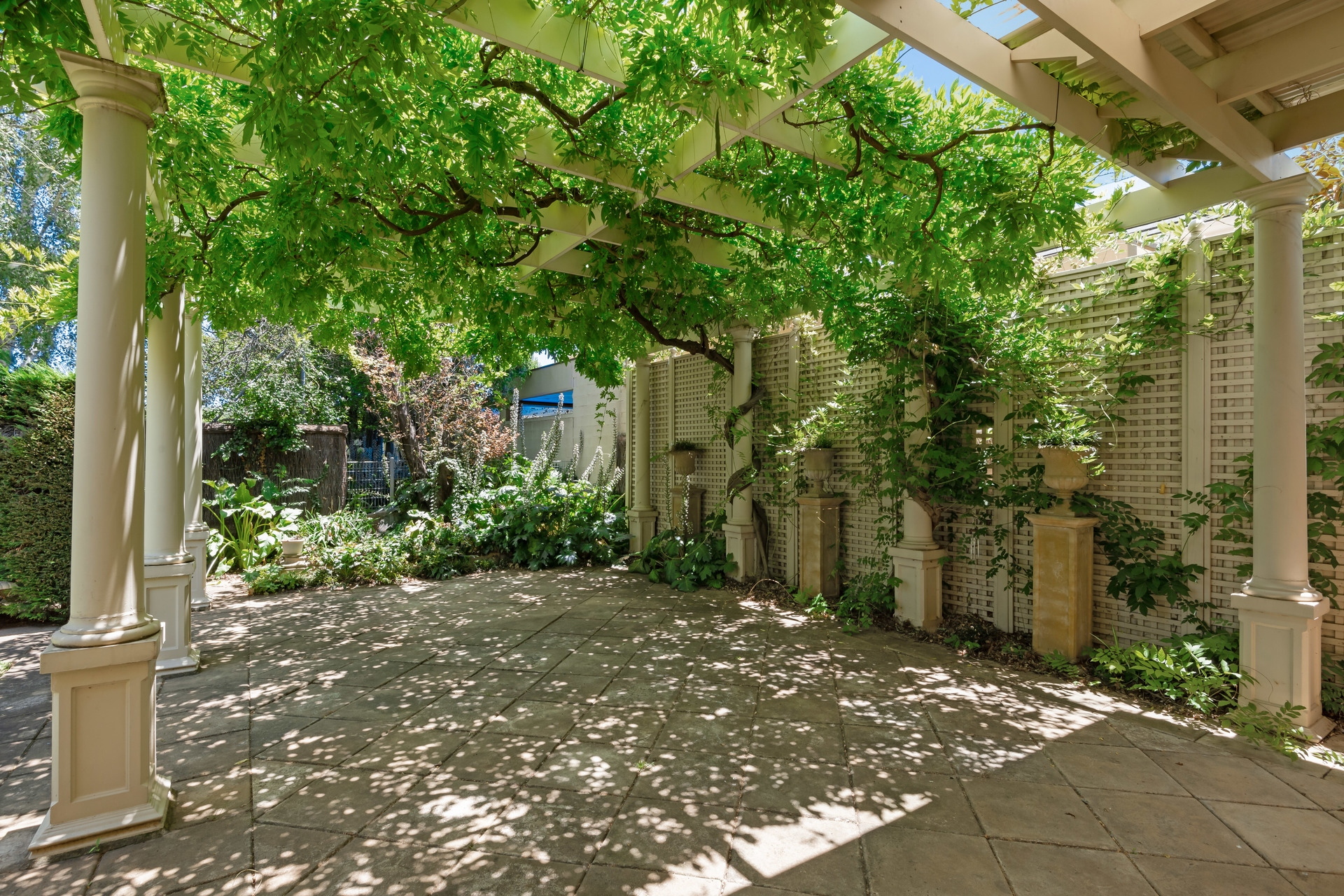 4 Willyama Avenue, Medindie Leased by Giordano & Partners - image 26