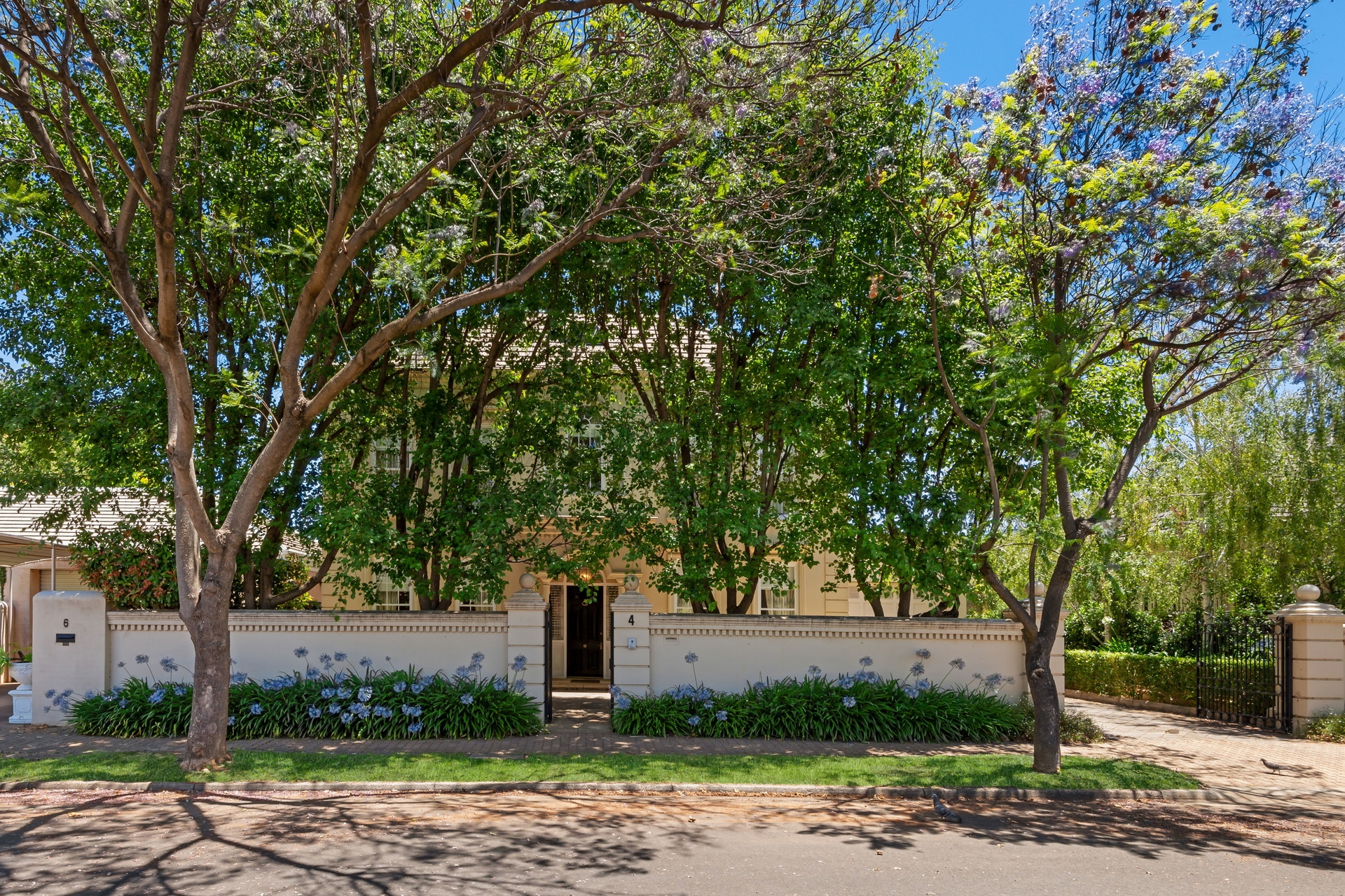 4 Willyama Avenue, Medindie Leased by Giordano & Partners - image 30