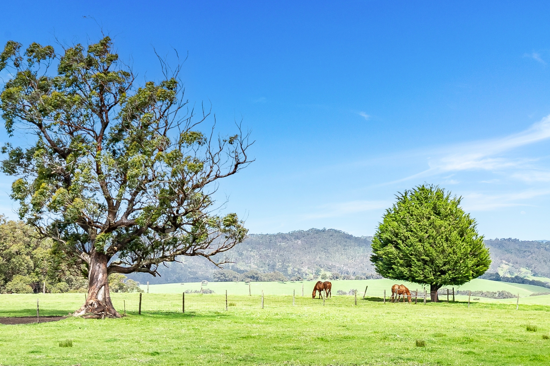 270 Woodgate Hill Road, Kyeema Leased by Giordano & Partners - image 22