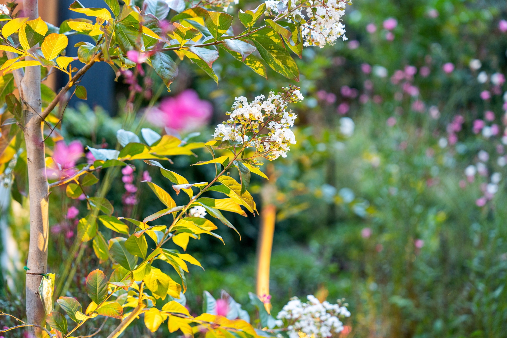 1A Pages Road, Mitcham Sold by Giordano & Partners - image 22