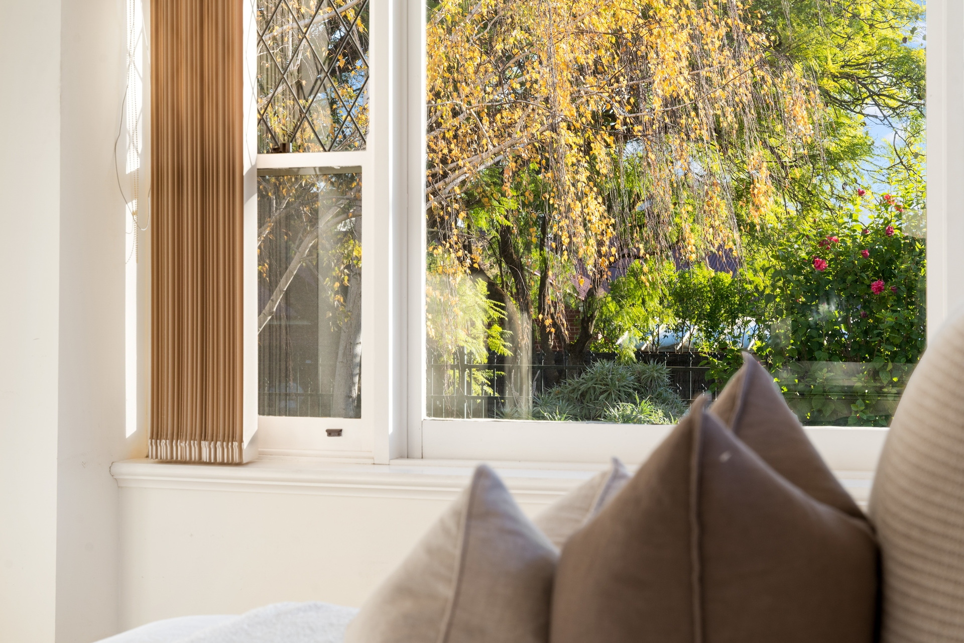 6 Jarvis Street, Erindale Sold by Giordano & Partners - image 12