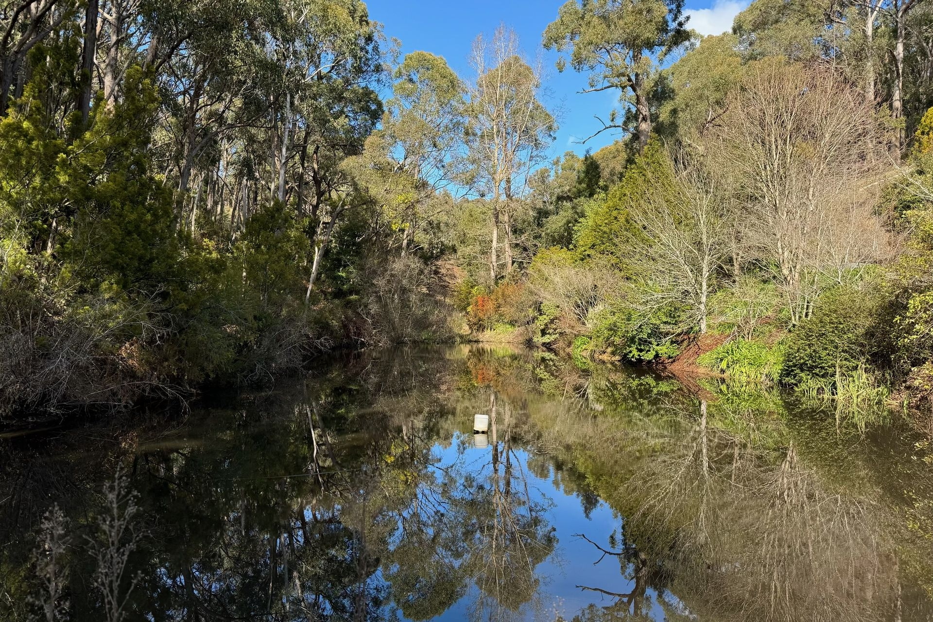 156 Knotts Hill Road, Basket Range Leased by Giordano & Partners - image 13