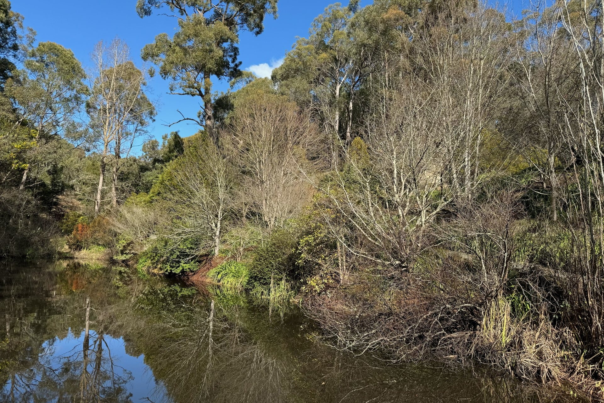 156 Knotts Hill Road, Basket Range Leased by Giordano & Partners - image 12