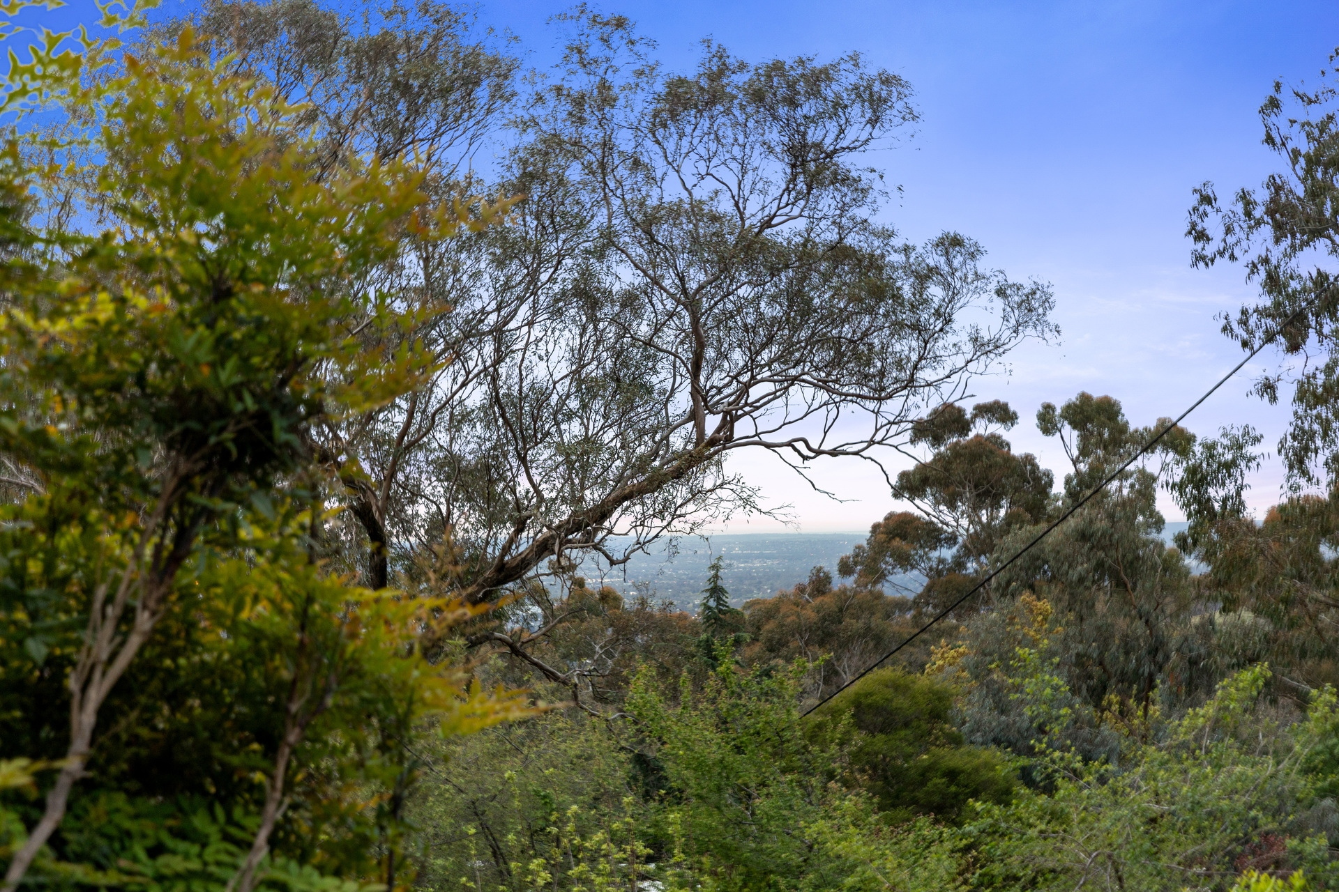 6a Burnell Drive, Belair Sold by Giordano & Partners - image 5