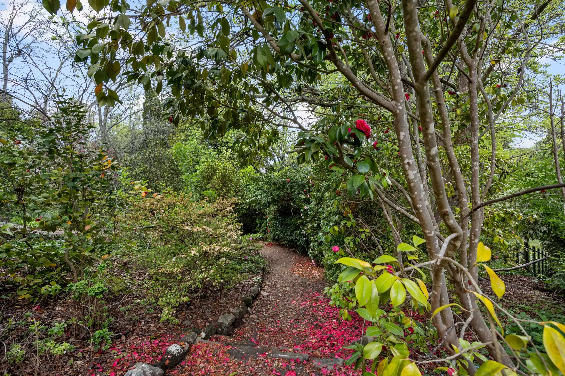 14 White Avenue, Crafers Sold by Giordano & Partners - image 26