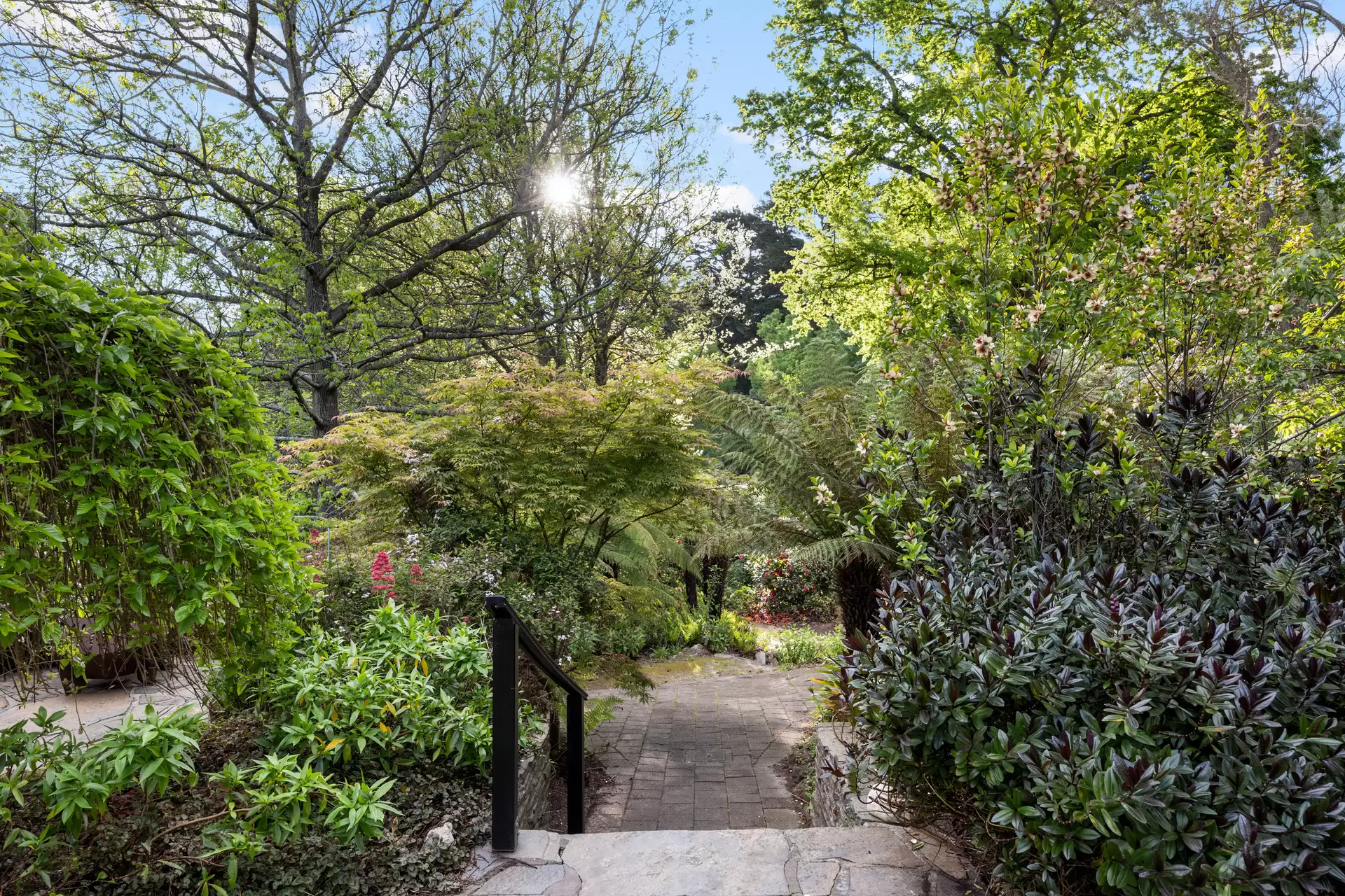 14 White Avenue, Crafers Sold by Giordano & Partners - image 24