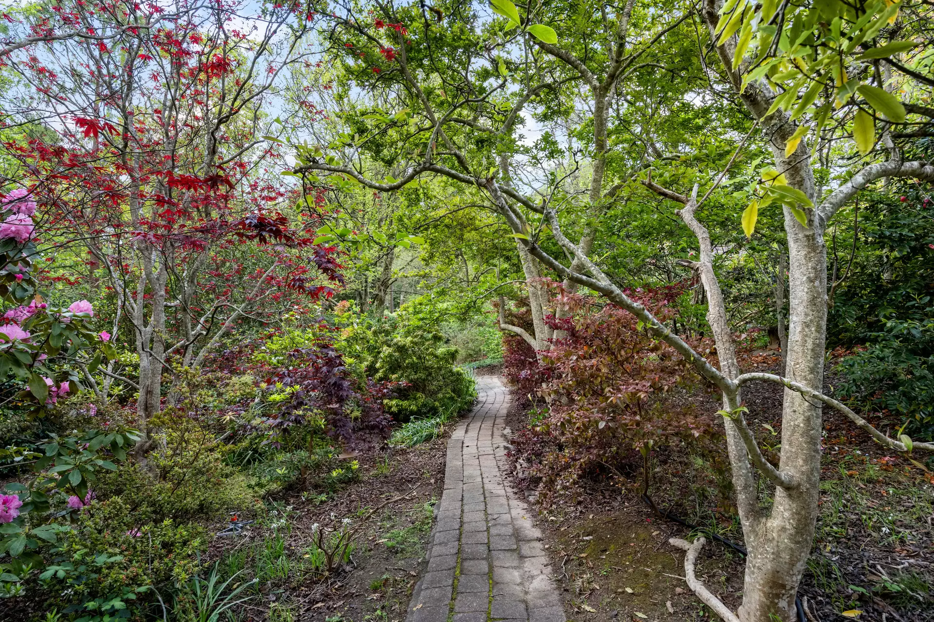 14 White Avenue, Crafers Sold by Giordano & Partners - image 25