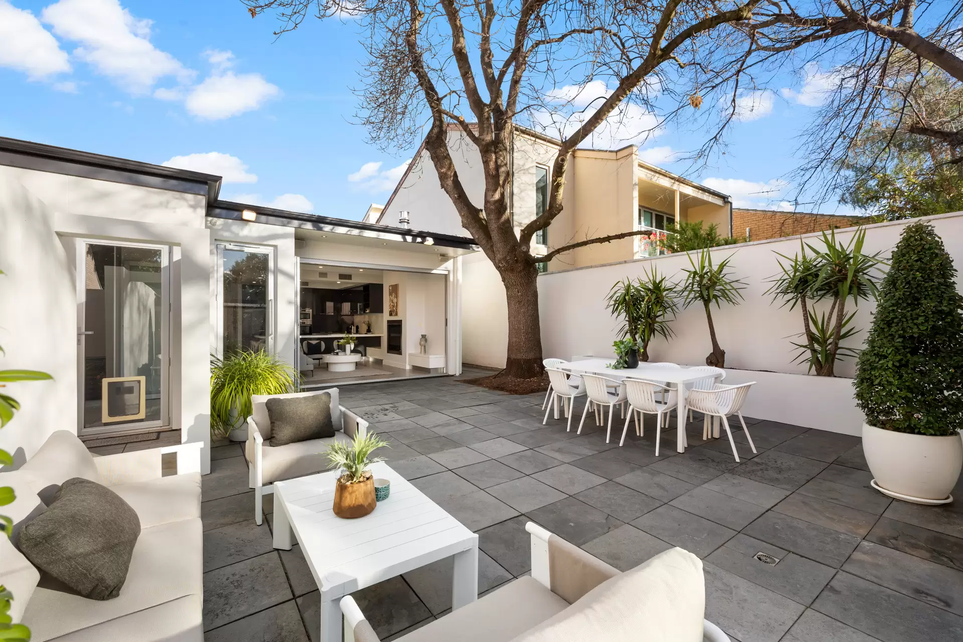 66 Ward Street, North Adelaide Sold by Giordano & Partners - image 17