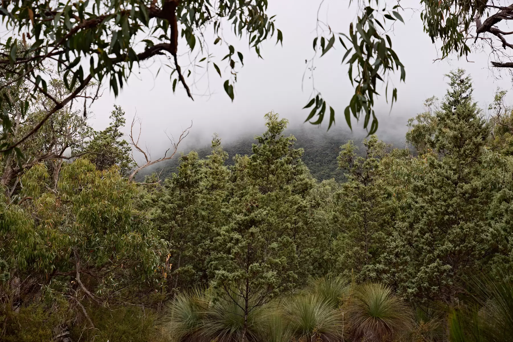 586 Victoria Valley Road, Dunkeld For Sale by Giordano & Partners - image 30