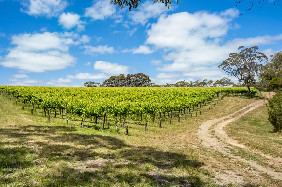 772 Range Road, The Range Sold by Giordano & Partners - image 4