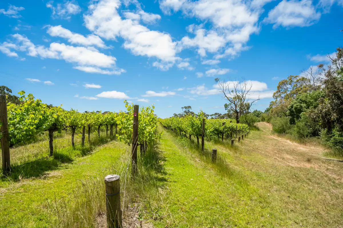 772 Range Road, The Range Sold by Giordano & Partners - image 17