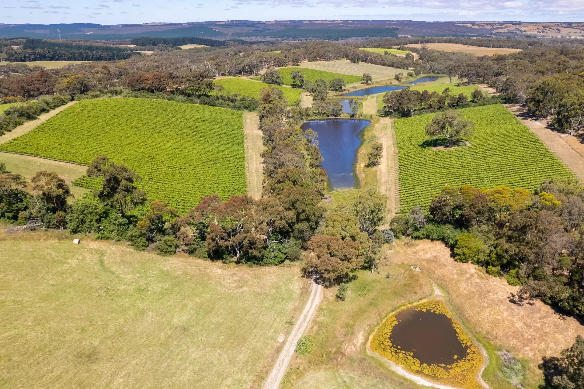 772 Range Road, The Range Sold by Giordano & Partners - image 14