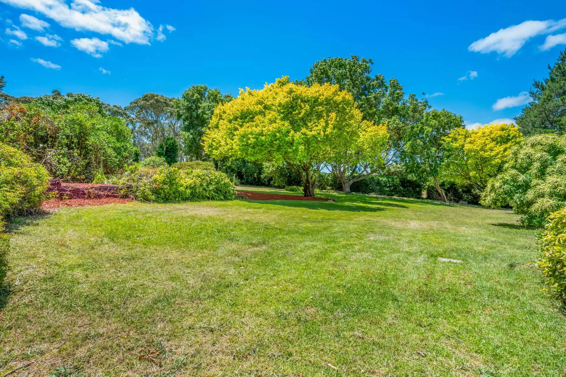 772 Range Road, The Range Sold by Giordano & Partners - image 13