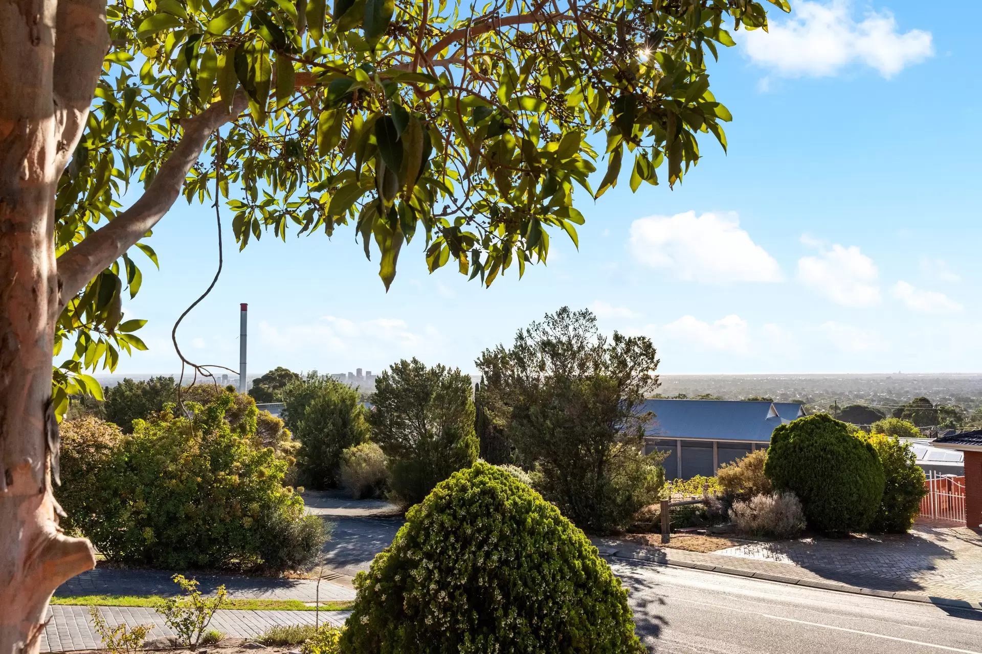 36 Mary Penfold Drive, Rosslyn Park Sold by Giordano & Partners - image 15