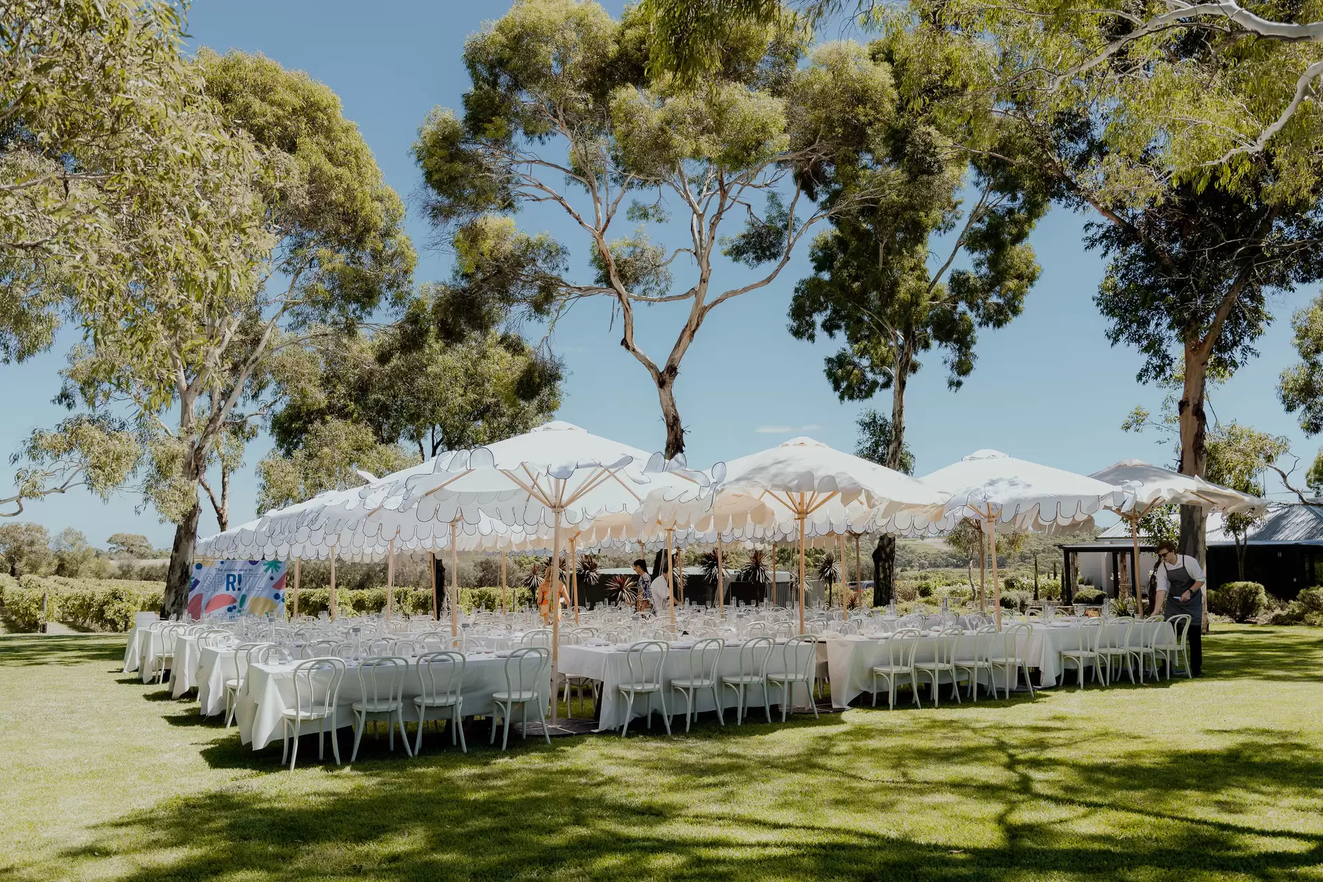 165 Whitings Road, Blewitt Springs Sold by Giordano & Partners - image 33