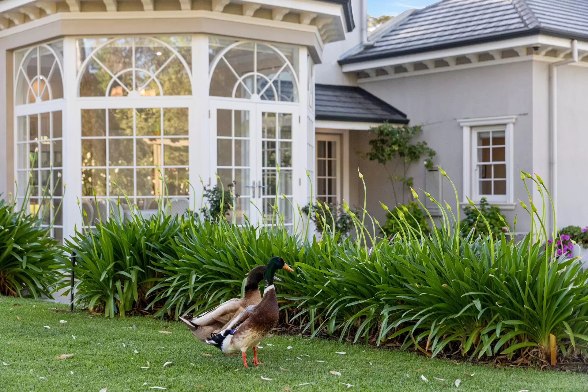 488-500 Yatala Vale Road, Yatala Vale For Sale by Giordano & Partners - image 19