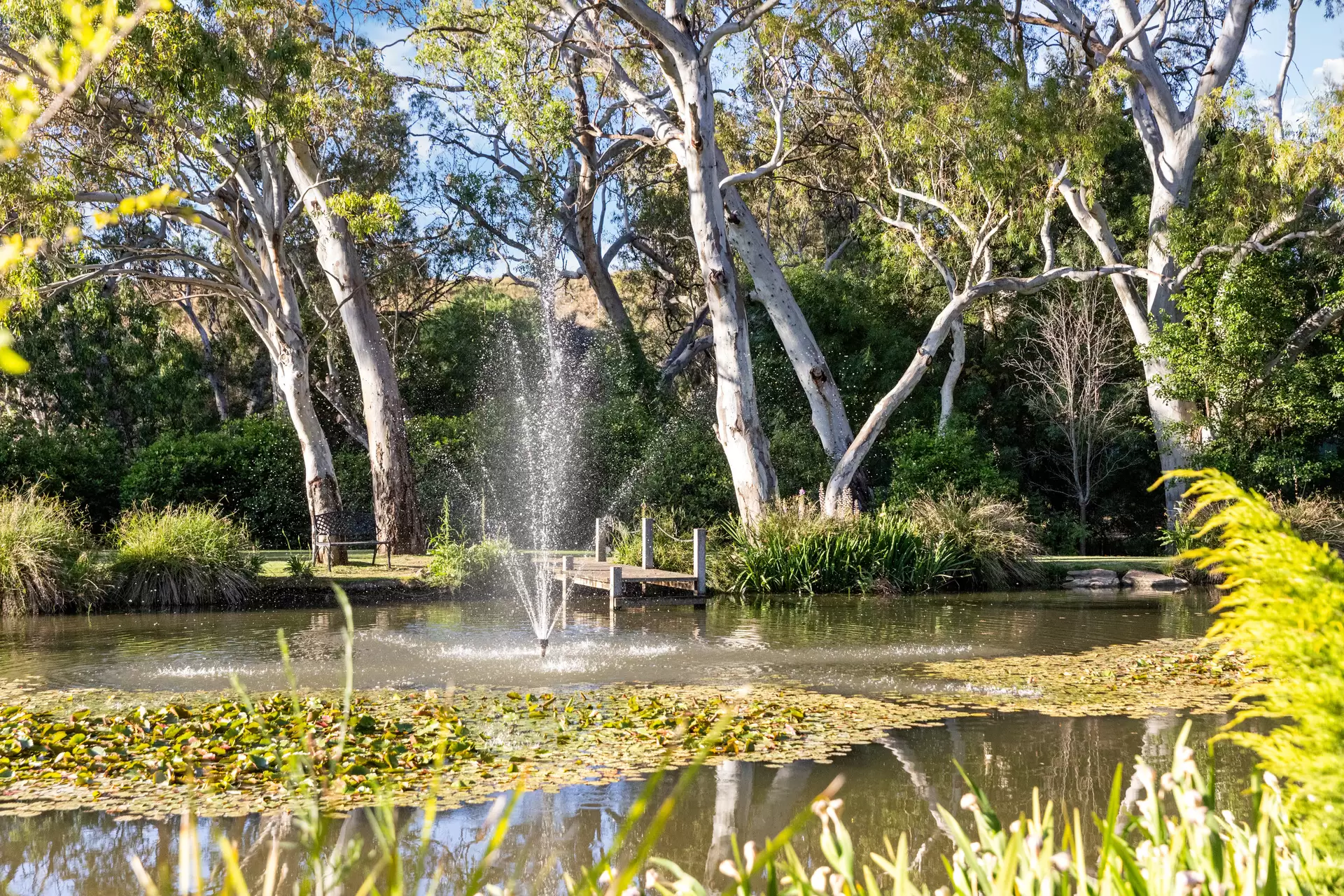488-500 Yatala Vale Road, Yatala Vale For Sale by Giordano & Partners - image 15