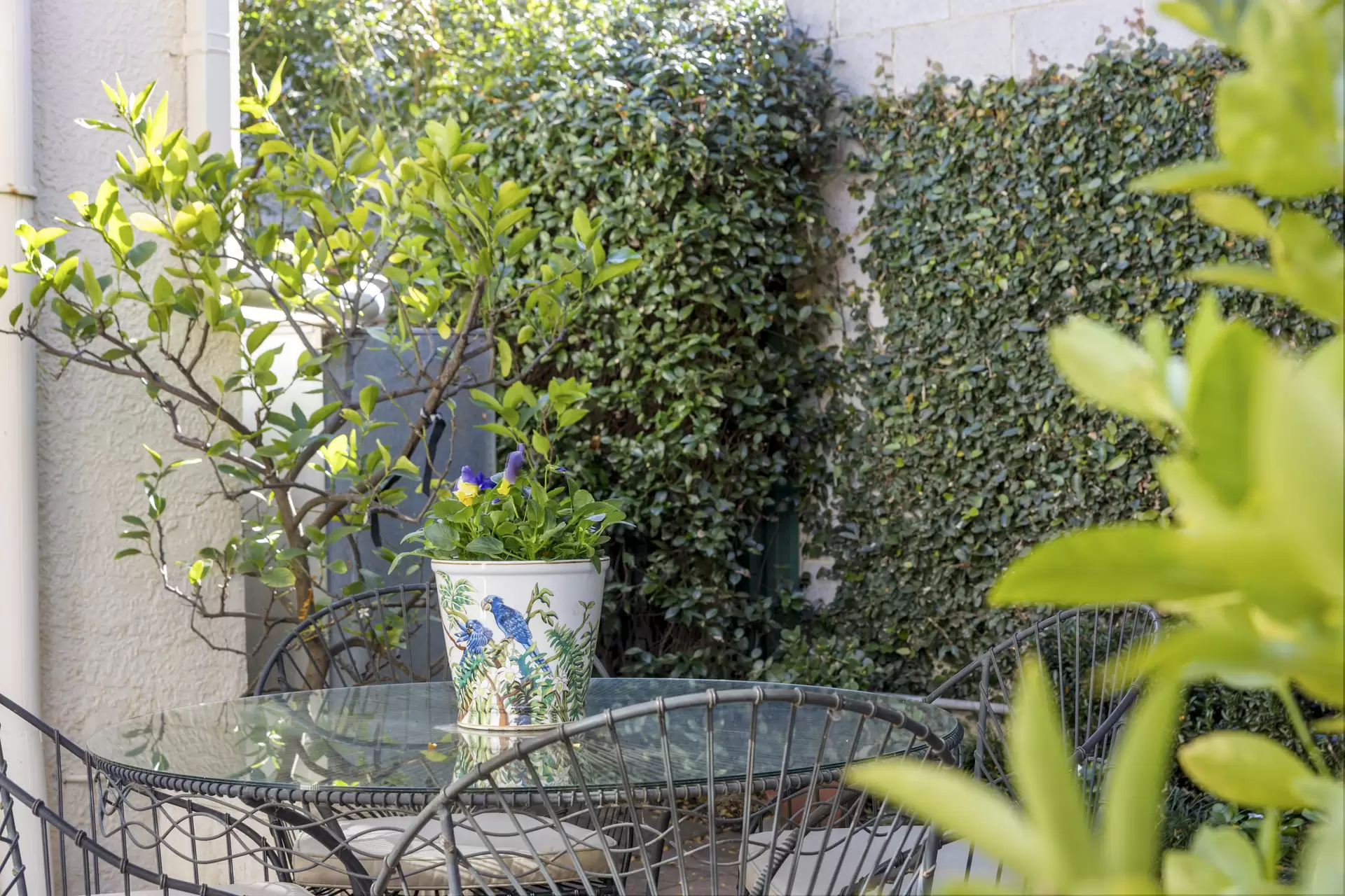 37 Glenford Avenue, Myrtle Bank Sold by Giordano & Partners - image 17