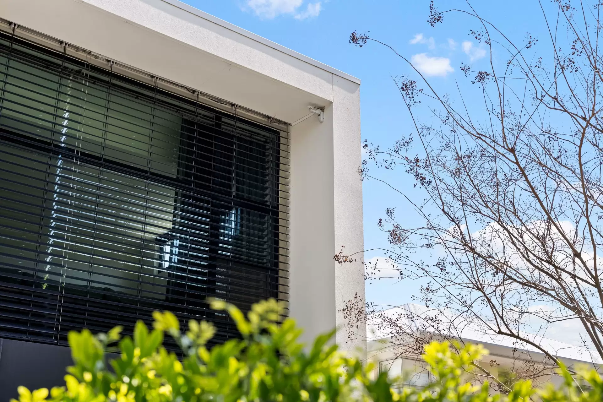 11 Blairgowrie Road, St Georges Leased by Giordano & Partners - image 26