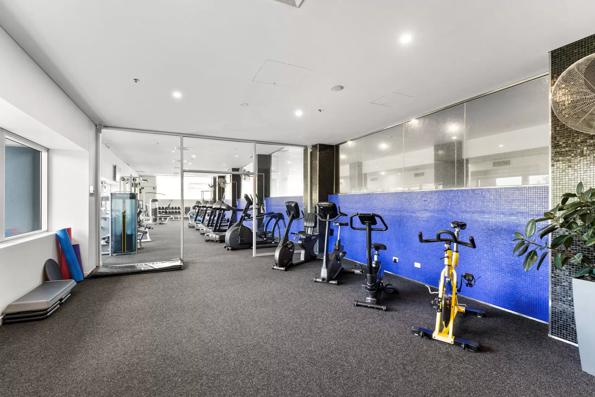 120/220 Greenhill Road, Eastwood For Lease by Giordano & Partners - image 13