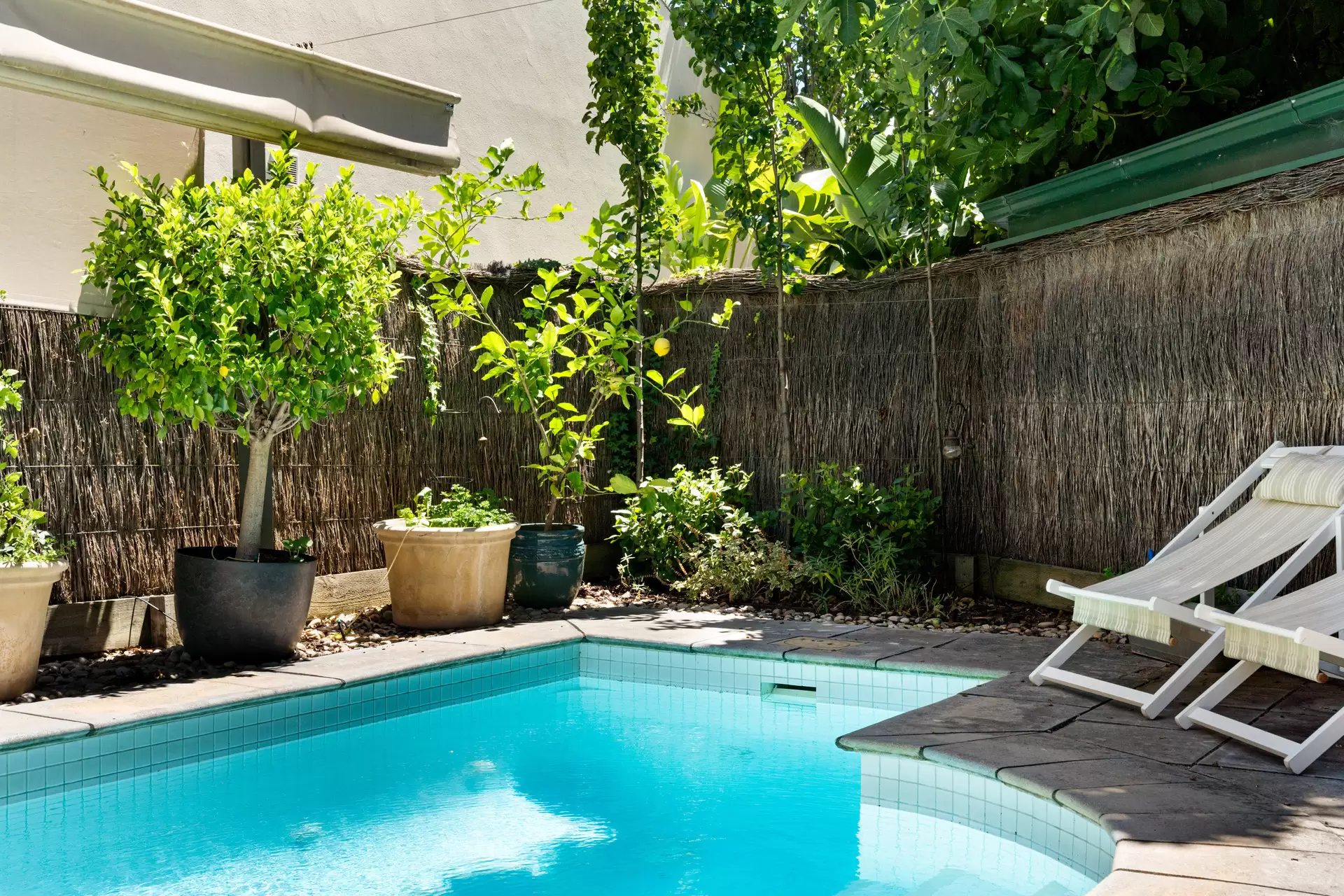 16 William Buik Court, North Adelaide For Lease by Giordano & Partners - image 19