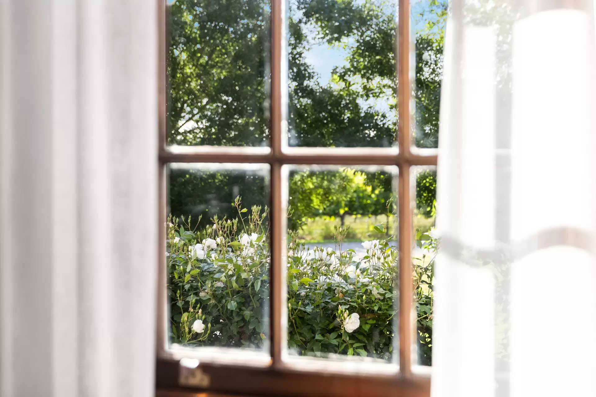 76 Rogers Road, Sellicks Hill For Sale by Giordano & Partners - image 10