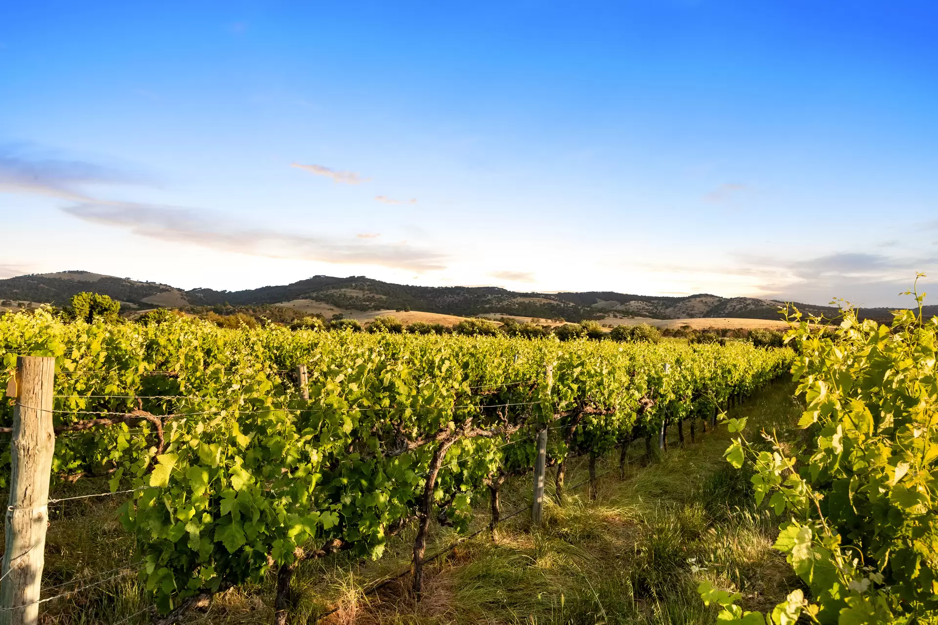 76 Rogers Road, Sellicks Hill For Sale by Giordano & Partners - image 3