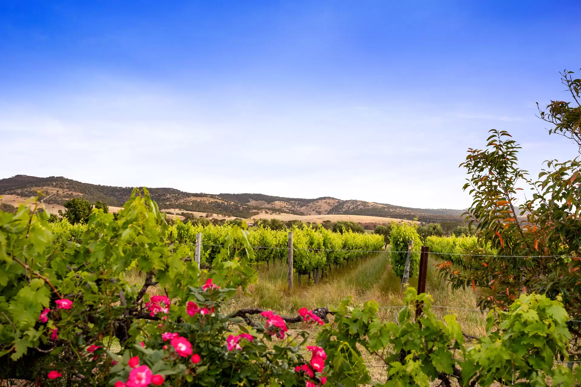 76 Rogers Road, Sellicks Hill For Sale by Giordano & Partners - image 28