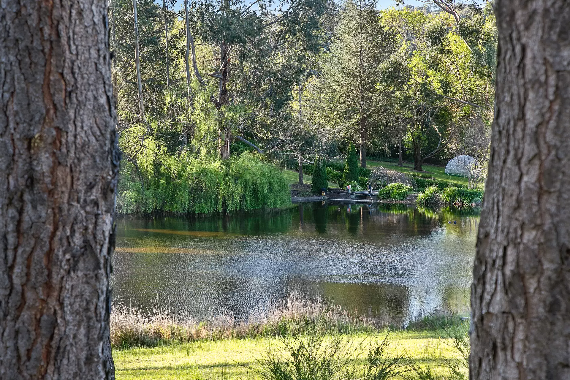 14 Williams Road, Heathfield For Sale by Giordano & Partners - image 30